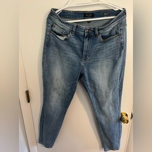 Judy Blue Jeans. 14W.